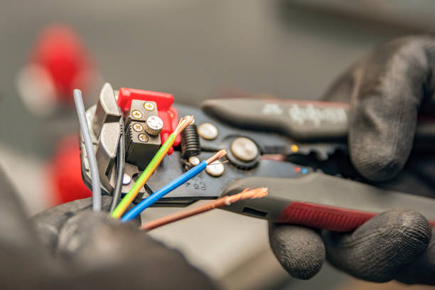 Best Affordable Electrician  in Pea Ridge, FL