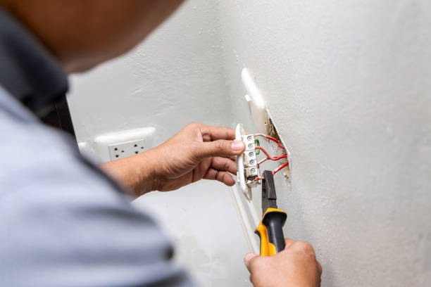Best Electric Panel Repair  in Pea Ridge, FL
